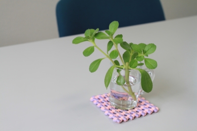 ボルドジンユ　１