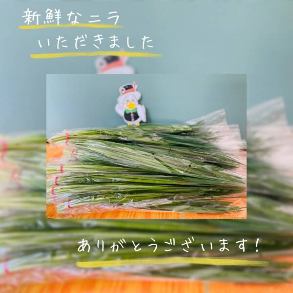 【ありがとうございます】