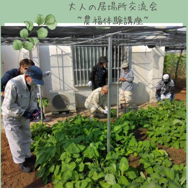 【楽しく収穫体験】